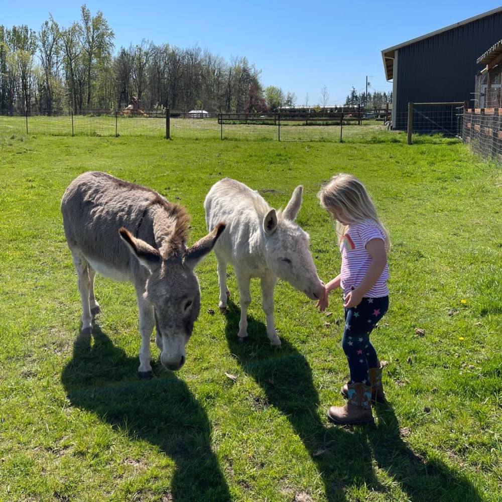 Meet your Posher, Haley